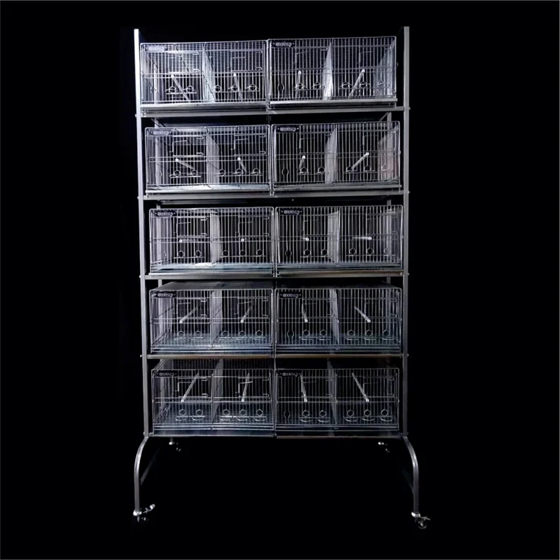 Combo 10 Criadoras Mas Rack