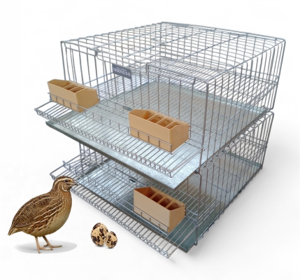 Jaula para postura de huevo/ CODORNICES